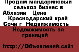 Продам мандариновый сельхоз-бизнес в Абхазии › Цена ­ 1 000 000 - Краснодарский край, Сочи г. Недвижимость » Недвижимость за границей   